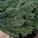 National Tree Company Pre-Lit Artificial Full Christmas Tree, Green, Dunhill Fir, Dual Color LED Lights, Includes Stand, 7.5 Feet, Dual Colored Lights