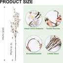 florisso 6 PCS Artificial Cherry Blossom Branches Spring Indoor Decoration, Faux Flowers 34.45" Long Stems Plum Fake Peach Plants Real Touch Silk for Wedding Home Bedroom Party Table Office, White