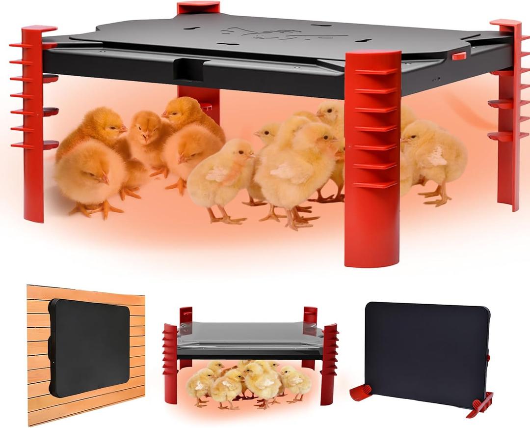 150W Chick Brooder Heater Plate, 2-in-1 Adjustable Radiant Brooder Plate for Chicks & Poultry, Smart Thermostat, 16"x11", Safe & Energy Saving, Ideal for Brooders & Small Chicken Coops