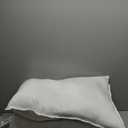 Down Alternative Bed Pillow, Medium Density for Back and Side Sleepers, Queen - Pack of 2, White, 30 in L x 20 in W