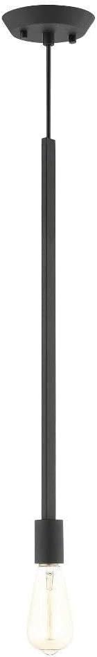 Livex Lighting 45831-04 1 Light Black Pendant