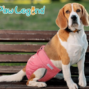 Paw Legend Washable Reusable Female Dog Period Diapers for Heat Doggie Puppy Diapers for Female Dogs (2 Pack,X-Small) (X-Small (8"-11.5" Waist), Cheerful (Black Lining))