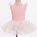 Kid Girls Classic Ruffle Sleeve Ballet Skirted Leotard Shiny Dance Tutu Dresses Ballerina Costume (Pink)