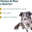 JustFoodForDogs Pantry Fresh Wet Dog Food, Complete Meal or Dog Food Topper, Chicken & White Rice Human Grade Dog Food Recipe - 12.5 oz (Pack of 12)