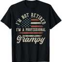 I'm Not Retired I'm A Professional Grampy Funny Retirement T-Shirt Large, Black 