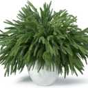 18 Pcs Real Touch Norfolk Pine Branches,Artificial Christmas Green Faux Cedar Norfolk Pine Stems Fake Greenery Pine Picks for Vase DIY Garland Wreath Xmas Indoor Outdoor Home Decoration (18 Inches)