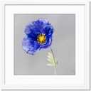 VNVNK 21x21 Frame White, Perfect for 21x21 Inch Picture without Mat or 17x17 Inch Picture with Mat, Home Wall Decor Picture Frame-1 PCS