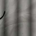 Teddy Bear Decorations For Front Yard, Inflatable, Height 64in