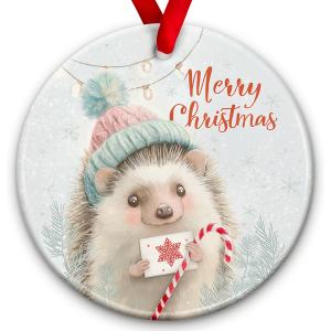 2 x Hedgehog Christmas Ornament - Animal Lover Xmas Tree Decoration, Cute Animal Themed Decor - Winter Christmas Decoration, Xmas Gift Ideas, Holiday Keepsake Gift for Hedgehog Lovers & Family