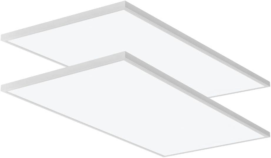 Lithonia Lighting 2x4 LED Flat Panel Light 4000 Lumens 3500/4000/5000K 2pk