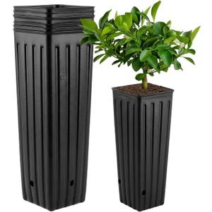 DOITOOL 50Pcs Plastic Deep Plant Nursery Pots, 11.2" Tall Tree Pot Black Seedling Treepots Flower Plant Container with Drainage Holes for Indoor Outdoor Gardening (11.2" H X 3" W)