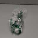 BLUEBIRD Studio Acrylic Paint Tube - Pthalo Green 6.42 Fl Oz / 190ML - Non Toxic, Rich Pigments for Painters, Adults & Kids, Ideal for Canvas, Wood, Clay, Ceramic & More