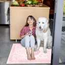 Washable Boho Entryway Rug 2' 3' Small Rug Pink White Colorful Color Door Mat Indoor Entrance Non-Slip Soft Oriental Vintage Carpet Kitchen Entryway Bedroom Corridors Indoor