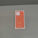 Apple iPhone 16 Pro Max Silicone Case with MagSafe and Camera Control - Tangerine