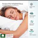 Pizuna Pure 100% Cotton Queen Duvet Cover Set, 600 Thread Count Long Staple Cotton Crisp Sateen Weave with Button Closure (Combed Rio Red Cotton Duvet Cover Queen)