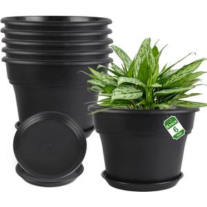 Myfeegoin 6-inch-Plant-Pots-Indoor-Outdoor, 6 Pack Plastic Planters with Drainage Holes & Saucers, Resin Flower Pots with Trays, Classic Garden Pot Container for House