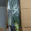 Nearly Natural 4ft Golden Cane Palm, Double Stalk Artificial Tree With Lush Realistic Foliage Maintenance Free Indoor Faux Palm Plant For Living Room, Easy Setup, Perfect Tropical Decoration