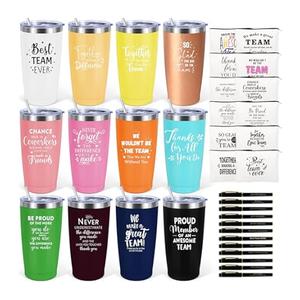 iAOVUEBY 12 Set Employee Appreciation Gifts Bulk, Christmas Gifts for Coworkers Teachers Nurses, 12OZ Inspirational Stainless Steel Tumbler Makeup Bags Pen Thank You Gift For Women Men Team Staffs