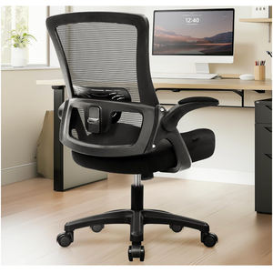 NEO CHAIR Office Desk Chair Computer Gaming Ergonomic Lumbar Back Support with Flip-up Padded Armrest Adjustable Height and Wheels for Home Vanity Bedroom Study (All Black)