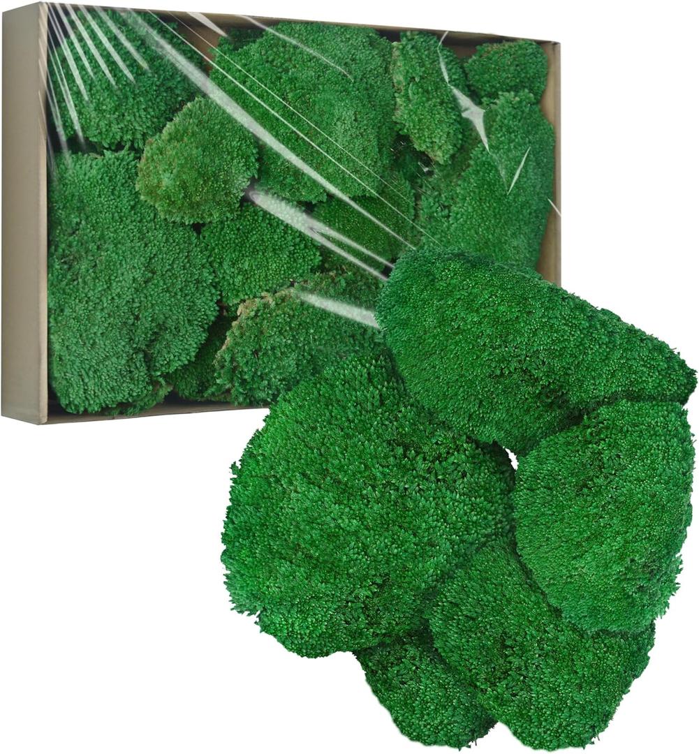 TurelinnG Preserved Moss Decor - Real Forest Moss, Moss for Crafts, Flexible for DIY Crafts, Home, Wall, Terrarium, Art Projects(Dark Green 2 sq.ft)