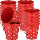 meekoo Valentines Day Small Gift Buckets with Handle 4 Red Metal Sand Bucket Valentines Party Favor Candies Chocolate Gift Holder for Valentines Day Party(20 Pcs)