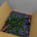 Artificial Boxwood Topiary Balls with Lavender  24" Set of 2 Faux Shrub Bushes, Evergreen Trees with Ground Spike & Garden Tools  UV Resistant Faux Plants for Outdoor Planters, Porch & Front Door