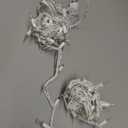 HISHINY Christmas Lights 100 Count Mini Clear Lights 21ft White Wire Christmas Tree String Lights Set for Outdoor Indoor Christmas Decorations Wedding Valentines Day Decor,UL Certified (21feet)