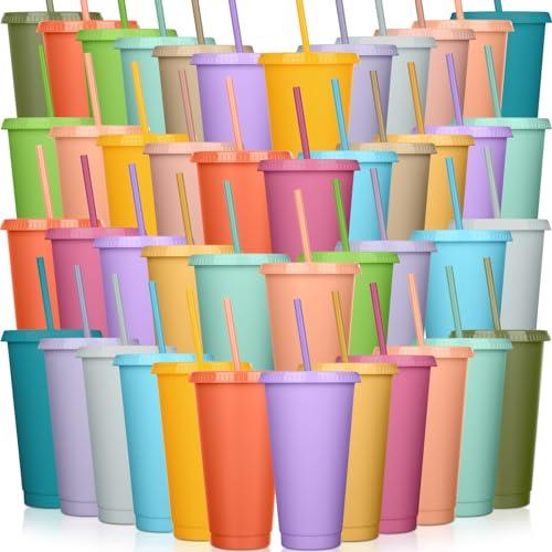 Honeydak 60 Pack Tumbler with Straw and Lid Bulk Cups for Gifts Water Bottle Iced Coffee Travel Mug Cup Reusable Plastic Tumblers for Party Birthdays 24-27 oz (Fresh Color)