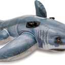 INTEX Inflatable Pool Float: Pool Toy for Kids