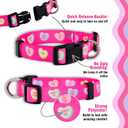 Native Pup Valentines Dog Collar- Valentines Day Pet Collars- Valentine Girly Hearts- Pink Red Heart- Cute Boy Girl Puppy Gift- Adjustable for Small, Medium, Large Breeds (Candy Hearts, Large)
