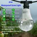 LED Grow Light String Bulb A25 Bulb, Full Spectrum Growing Lamp Bulbs E26 Base, 15W 130W Equivalent, Outdoor and Indoor Plants, Seed Starting (3 Bulbs 45W (12FT))