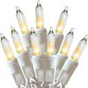 HISHINY Christmas Lights 100 Count Clear Christmas Tree String Lights with White Wire for Outdoor Indoor Christmas Decorations Wedding Decorations Valentines Day Decor,UL Certified (21feet)