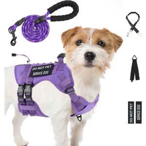 No Pull Tactical Dog Harness for Small Dogs, Escape Proof Molle Dog Vest Harness and Leash Set, Adjustable Military Service Dog Harness with Handle (Purple, Small)