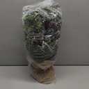 deeinglif 2ft Mini Christmas Trees 24" with LED Lights and Pine,Tabletop Branches Cones and Cloth Bag Base Home Party Dining Room Window Decoration for Christmas