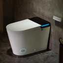 Casta Diva Smart Toilet with Bidet Built in, Auto Open Close, Foot Sensor, 1000 MaP Auto Flushing, ADA Comfort Height, Artistic Lighting, Smart Heated Seat, Foam Dispenser, Tank Built in (CD-U010Max)