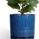 12 Inch Pot for Plants - Ceramic Planter for Indoor Plants Large Plant Pot with Drainage Holes and Saucer Outdoor Flower Pot Decorative Round Planter for Porch Office Decor Blue