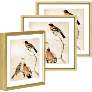 6x6 Picture Frame, Brass Metal Photo Frames with HD Glass, Fits 5x5 with Mat or 6 x 6 without Mat, Display for Wall and Table, 3 Pack