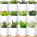 Cindeer 12 Pack Small Succulent Plants Pots 3 Inch Ceramic Flower Planter Pot and Bamboo Tray with Drainage Hole for Succulents Cactus Indoor Garden Decorations, Plant Not Included(White) 6 Packs