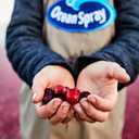 Ocean Spray Cranberry Pomegranate Juice, 101.4-Ounce (Pack of 2) (EXP 09/22/26)