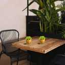 VANGOLD (2-Pack) Bring Nature Indoors Artificial Succulents in Fashionable Golden Flower Pots - Perfect for Home, Office, and Event Decor