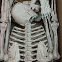 JOYIN 5 FT Halloween Skeleton Life Size, Stayable Posable Skeleton Decor, Full Body Movable Joints Giant Skeletons for Halloween Decoration Outdoor, Haunted House Prop, Spooky Scary Graveyard Party (White, M)