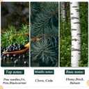 2Pcs 9Ft Scented Christmas Norfolk Pine Garland Real Touch Winter Fir Scent Artificial Pine Garlands Deluxe Norfolk Cedar Garland for Holiday Indoor Table Fireplace Wall Mantle Stair Home Decor