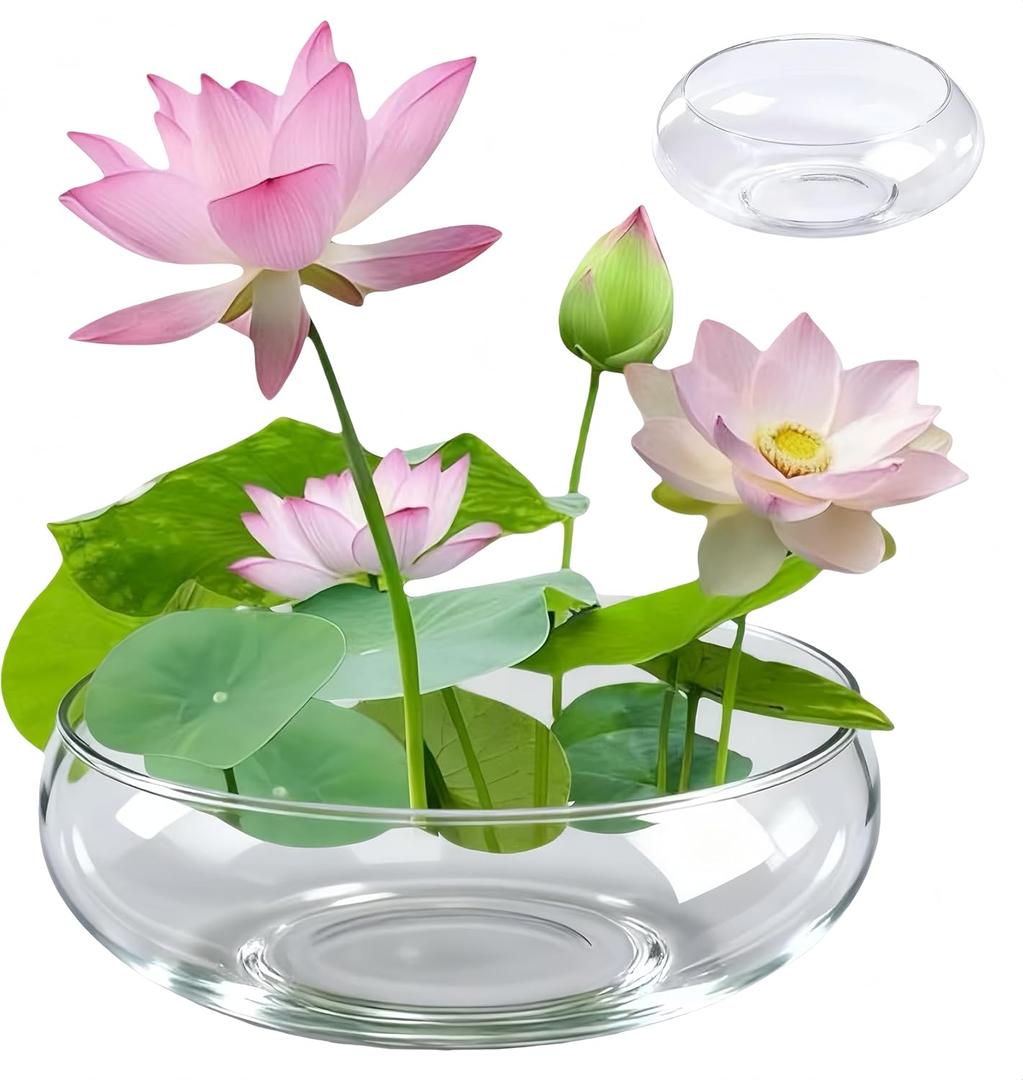 1 Pcs Lotus Bowl Planter Round Lotus Bowl Glass Lotus Flower Bowl Lotus Bowls for Planting in Water Indoors Applicable to Bonsai Bowl Lotus Flower Hydroponic Plant Home Decor (5.9IN)