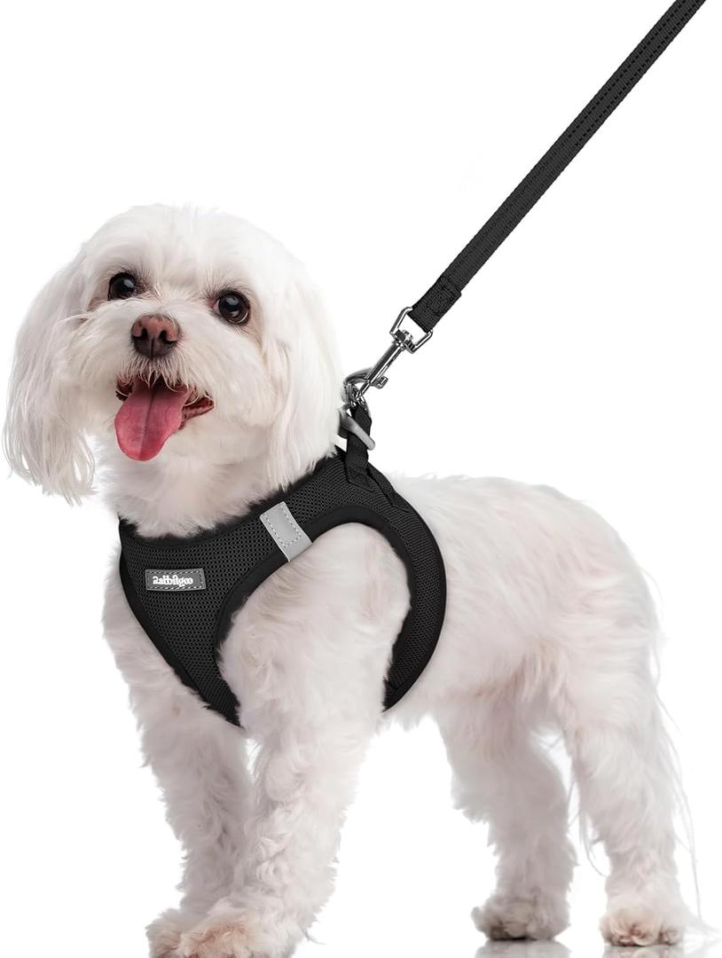rabbitgoo Dog Harness Small Sized and Leash Set, Step in Soft Light Puppy Vest, Breathable Mesh Pet Harness, Reflective for Safe Easy Walking, Black M (M (chest: 16 - 18.5"))