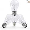 Hrsovii A19 Clear Incandescent Rough Service Light Bulb, 100 Watt Incandescent Light Bulbs, A19 100 WATT Bulbs ，100 Watt, 2700K Soft White, E26 Medium Base, 110130V (4 Pack)