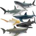 Toymany 6PC Realistic Shark Figurines Set - 5-6" Ocean Animals Bath Toys, Cake Toppers, Gifts for Kids & Toddlers