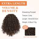 Lommel Ponytail Extension for Black Women,10 Inch Drawstring Ponytail for Black Women Curly Pony Tails Hair Extensions for Womens Afro Kinky Curly Hair Pieces for Daily Use4#)