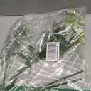 Giegxin 2 Pcs Artificial Queen Annes Lace Stem 30 Inch Fake Carrot Flower Picks Faux Ammi Majus Queen Annes Lace Three Head Stems Set for Vase Bouquets Home Office Wedding Decor