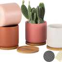 OMAYKEY 4 Inch Ceramic Plant Pot with Saucer, Multicolor Planters Pots with Drainage Hole and Mesh Pads for Succulent, Indoor Flowers, Snake Plants, Cactus, Herbs, Set of 4 (Plant Not Included)