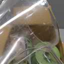 SUSTEAS Rotary Cheese Grater with Handle - Vegetable Shredder with 5 Well-designed Blades & Strong Suction Base,Round Mandoline Slicer & Food Chopper for Kitchen,with Blade Storage Box(Retro Green)